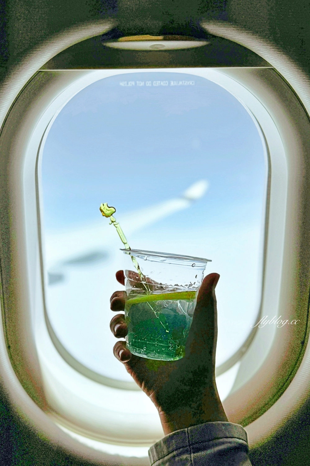 日本北海道｜星宇航空 JX850 台北&ndash;札幌 空中巴士A330-900，可愛的史努比主題飛機 @飛天璇的口袋