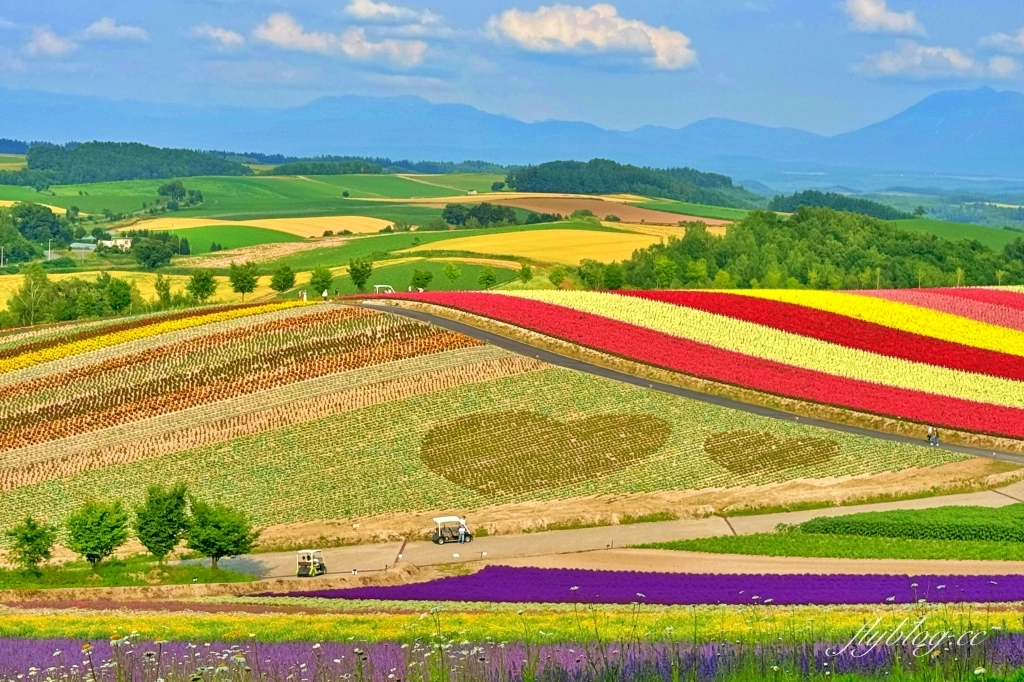 【北海道自由行】自駕玩北海道8天7夜,函館去札幌回,夏天北海道賞花經典行程 @飛天璇的口袋 【北海道自由行】自駕玩北海道8天7夜,函館去札幌回,夏天北海道賞花經典行程 @飛天璇的口袋
