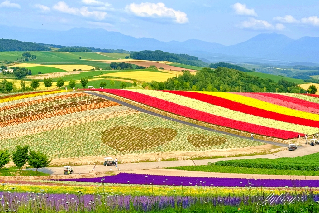 日本北海道｜四季彩之丘．美瑛夢幻賞花景點，五彩繽紛大自然拼布(附Mapcode) @飛天璇的口袋
