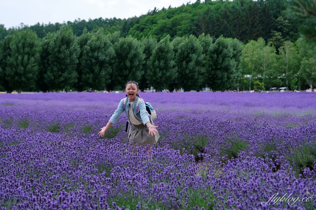 日本北海道｜富田農場．夏季北海道最美景點，富良野賞薰衣草花田(附Mapcode) @飛天璇的口袋