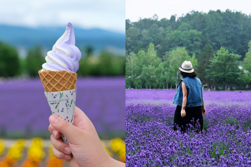 日本北海道｜富田農場．夏季北海道最美景點，富良野賞薰衣草花田(附Mapcode) @飛天璇的口袋