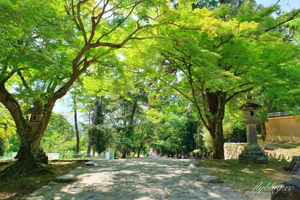 日本奈良｜奈良一日遊．租腳踏車玩奈良！交通方式、路線安排、必玩景點、必吃美食介紹 @飛天璇的口袋