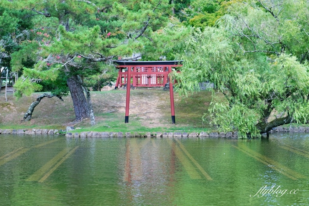 日本關西｜大阪自由行．京阪奈5天4夜，大阪環球影城、京都一日遊、奈良一日遊、大阪一日遊 @飛天璇的口袋