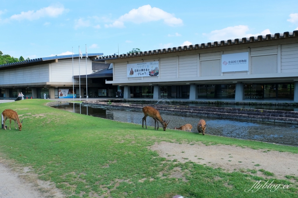 日本奈良｜奈良一日遊．租腳踏車玩奈良！交通方式、路線安排、必玩景點、必吃美食介紹 @飛天璇的口袋