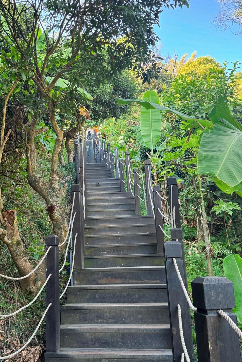 台中北屯｜大坑9號步道．觀音亭休憩平台開放了，遠眺山林綠意和台中市景 @飛天璇的口袋