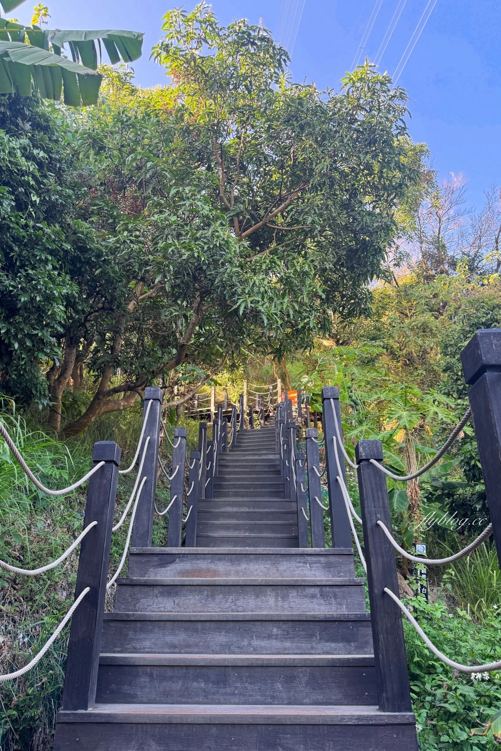 台中北屯｜大坑9號步道．觀音亭休憩平台開放了，遠眺山林綠意和台中市景 @飛天璇的口袋