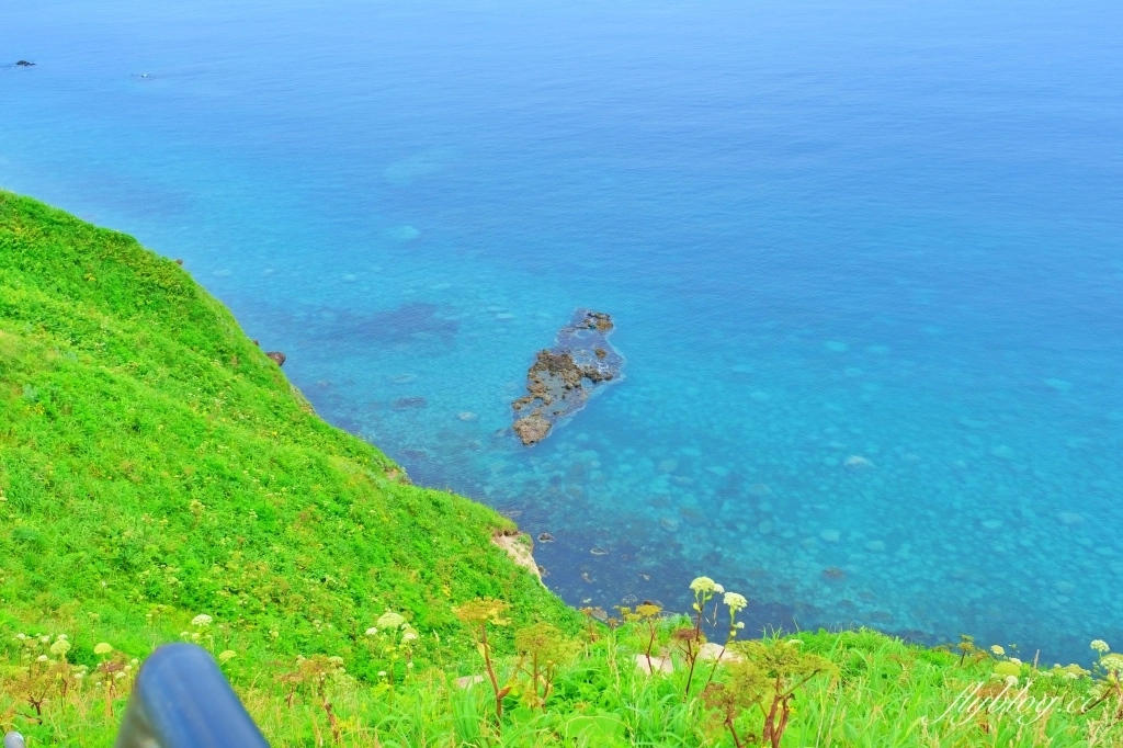 日本北海道｜神威岬．積丹半島超美絕景，必訪北海道三個藍之一 @飛天璇的口袋