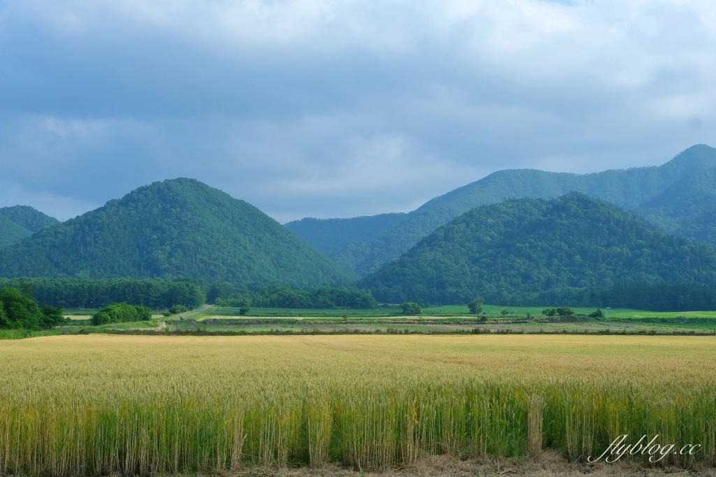 日本北海道｜Hanakoya はなこや．弟子屈町溫馨家庭食堂，鄰近屈斜路湖砂湯 @飛天璇的口袋