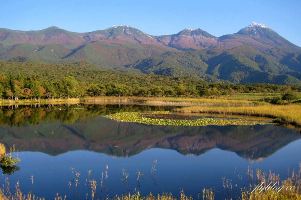 日本北海道｜知床國立公園．聯合國教科文組織登錄的世界遺產，知床五湖導覽時期及預約方式 @飛天璇的口袋