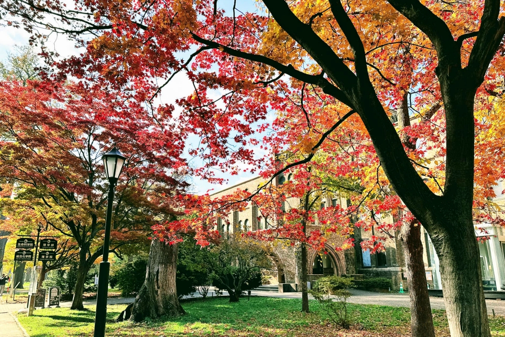 【北海道自由行】不自駕玩北海道5天4夜．札幌、小樽、富良野，夏天賞花冬天賞雪 @飛天璇的口袋