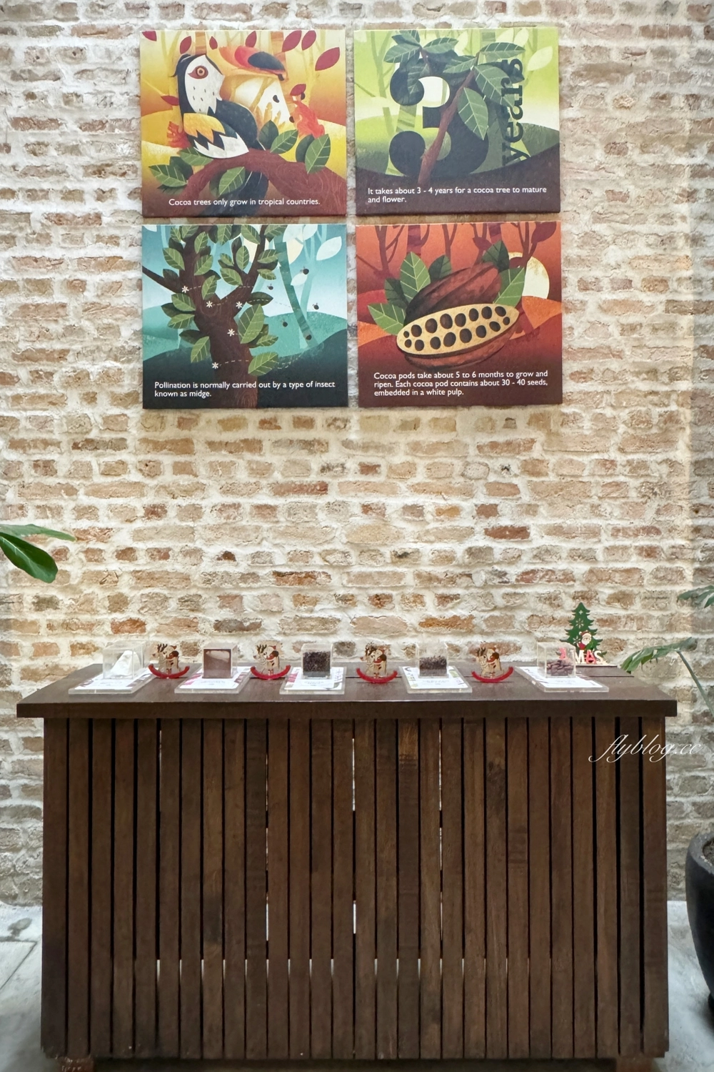 馬來西亞吉隆坡｜Beryl’s巧克力．馬來西亞必買伴手禮，巧克力第一品牌 @飛天璇的口袋