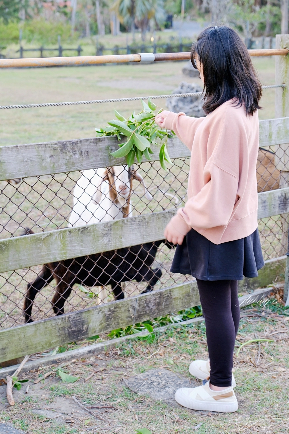 屏東恆春｜托斯卡尼渡假莊園．墾丁石牛溪旁的草原，義大利鄉村風格渡假村 @飛天璇的口袋