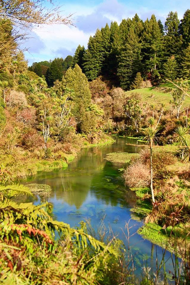 【紐西蘭自由行】紐西蘭北島10天行程規劃．自駕玩紐西蘭北島，暢遊魔戒哈比村 @飛天璇的口袋