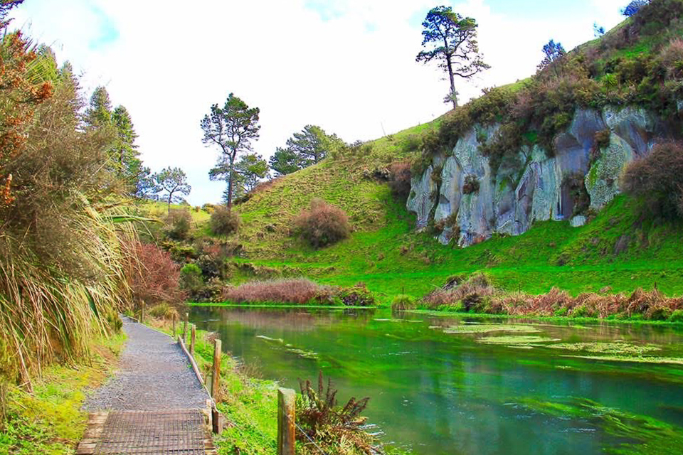 【紐西蘭自由行】紐西蘭北島10天行程規劃．自駕玩紐西蘭北島，暢遊魔戒哈比村 @飛天璇的口袋