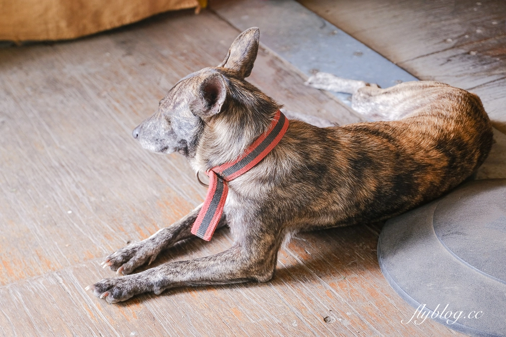 彰化溪州｜喬咖啡夢想屋．田野間的貨櫃屋咖啡館，第二屆台灣500碗推薦 @飛天璇的口袋