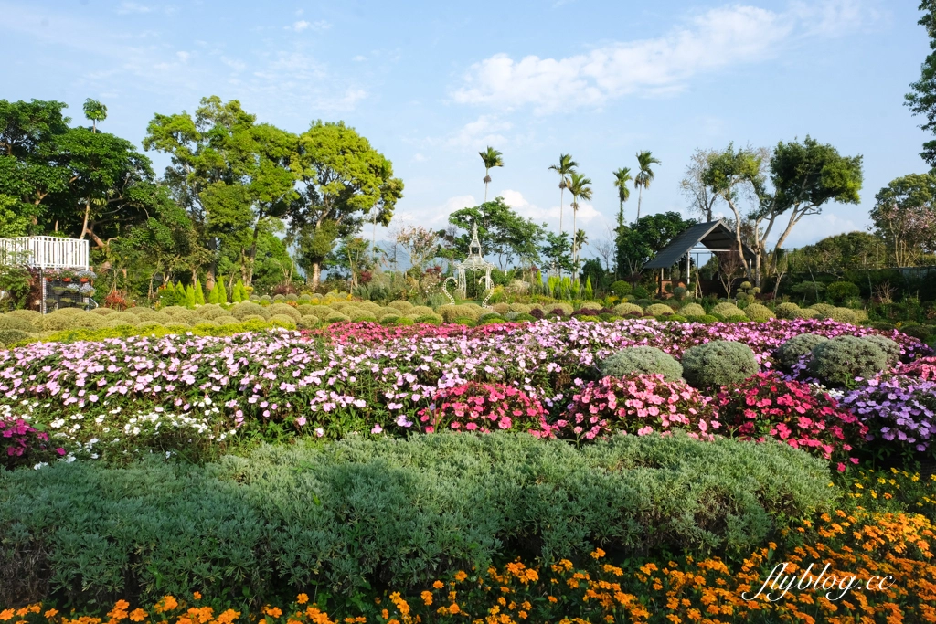 苗栗卓蘭｜花露精油城堡民宿．花露農場住宿區，季節限定繡球花房型 @飛天璇的口袋