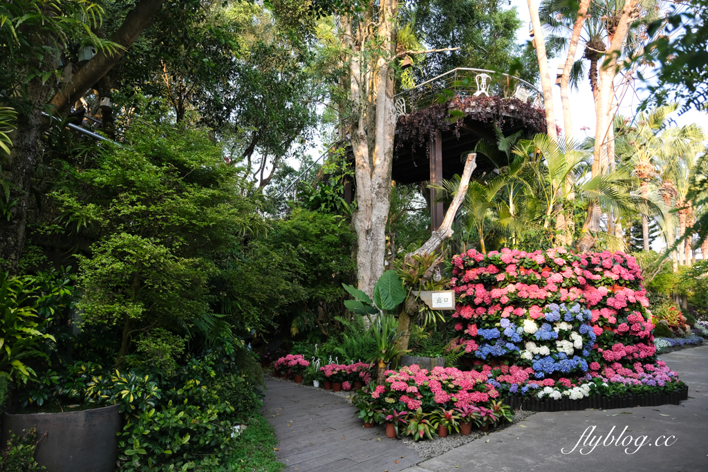 苗栗卓蘭｜花露精油城堡民宿．花露農場住宿區，季節限定繡球花房型 @飛天璇的口袋