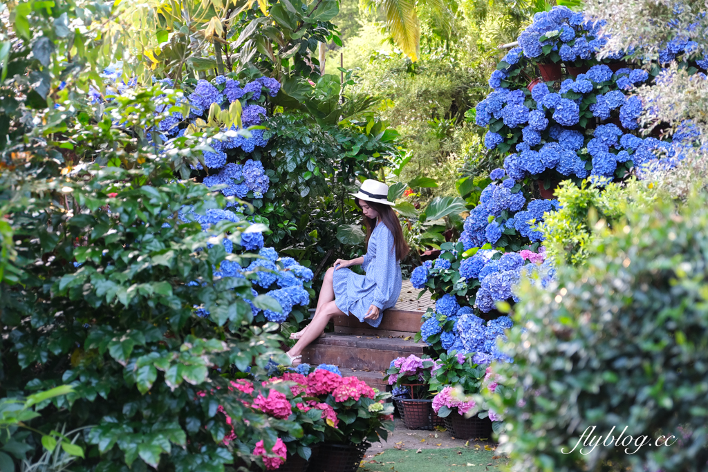 苗栗卓蘭｜花露精油城堡民宿．花露農場住宿區，季節限定繡球花房型 @飛天璇的口袋