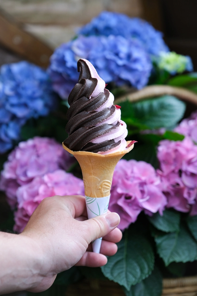 苗栗卓蘭｜花露精油城堡民宿．花露農場住宿區，季節限定繡球花房型 @飛天璇的口袋