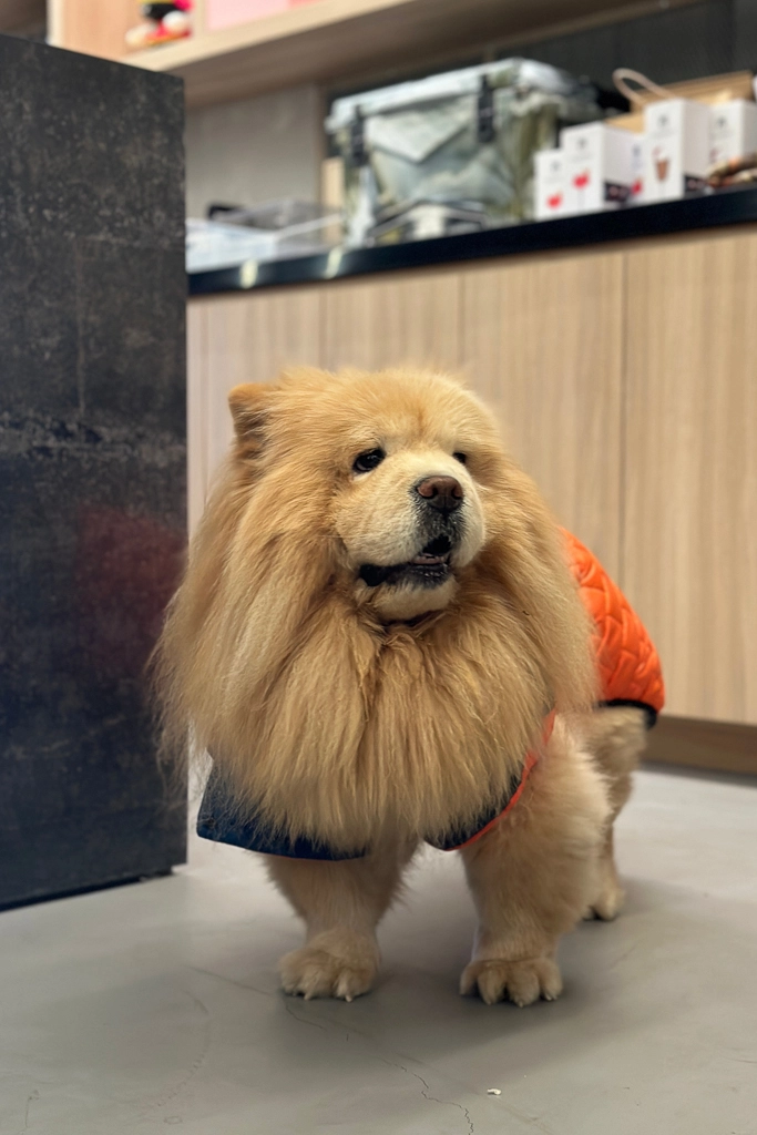 台中北屯｜K2G 48 Warehouse．KroX Coffee 跨蒔咖啡概念店，鐵工廠改建的咖啡館 @飛天璇的口袋