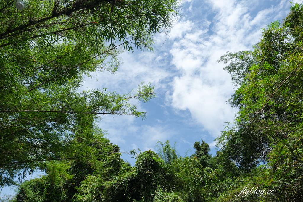 泰國攀牙｜Komol’s Corner Bamboo Rafting．超療癒的竹筏泛舟，穿梭在潺潺流水中，兩邊都是林蔭遮敝 @飛天璇的口袋