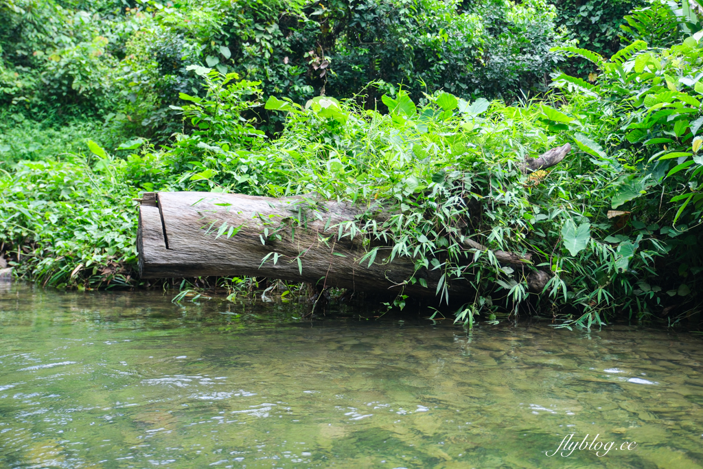 泰國攀牙｜Komol’s Corner Bamboo Rafting．超療癒的竹筏泛舟，穿梭在潺潺流水中，兩邊都是林蔭遮敝 @飛天璇的口袋