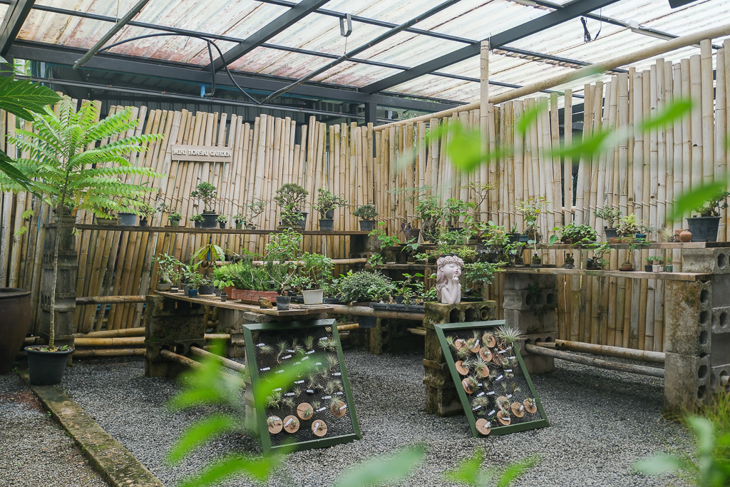 泰國攀牙｜Ban Bai Tea Cafe บ้านใบ．攀牙文青風茶店，結合茶、咖啡和點心 @飛天璇的口袋