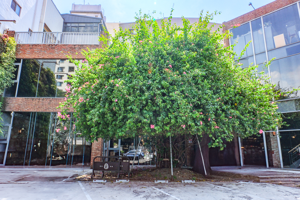 台中西區｜台中直火料理 FORE．龍眼木直火柴燒牛排．台中美術館玻璃屋餐廳 @飛天璇的口袋