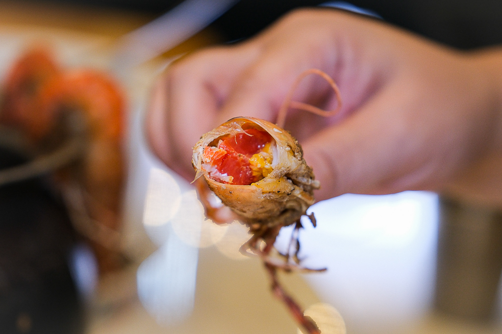 台中北屯｜鴻龍宴活蝦料理．8人套餐4599元10道佳餚，2025台中父親節餐廳推薦 @飛天璇的口袋