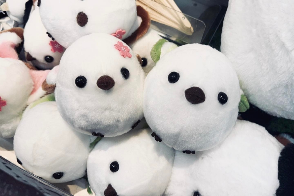 【北海道自由行】5~15天北海道自駕行程，札幌、富良野、稚內、知床五湖完整規劃 @飛天璇的口袋