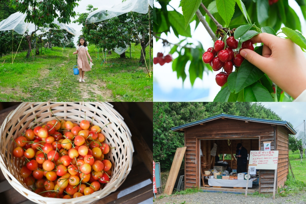 【北海道自由行】5~15天北海道自駕行程，札幌、富良野、稚內、知床五湖完整規劃 @飛天璇的口袋
