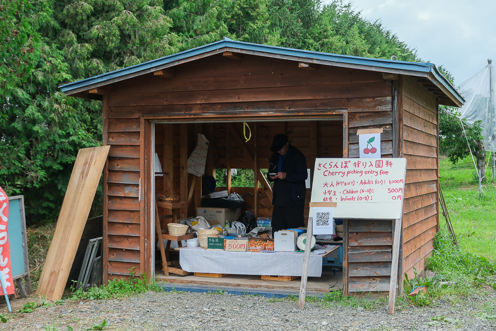 日本北海道｜辻さくらんぼ農園．美瑛西北之丘採櫻桃，1000圓櫻桃吃到飽 @飛天璇的口袋