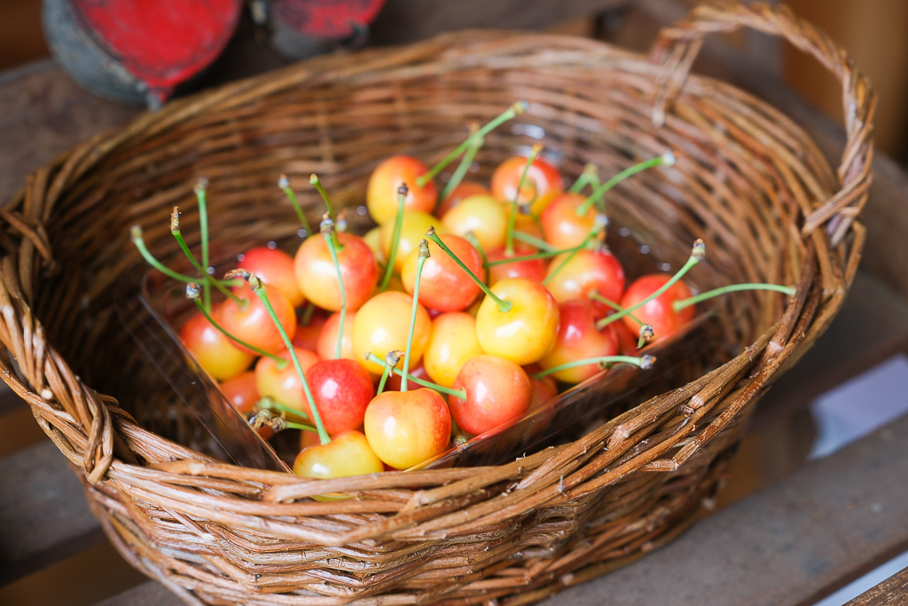 日本北海道｜辻さくらんぼ農園．美瑛西北之丘採櫻桃，1000圓櫻桃吃到飽 @飛天璇的口袋