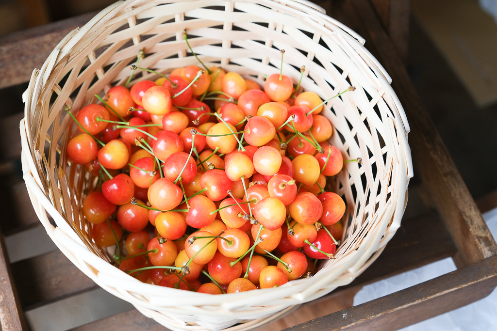 日本北海道｜辻さくらんぼ農園．美瑛西北之丘採櫻桃，1000圓櫻桃吃到飽 @飛天璇的口袋