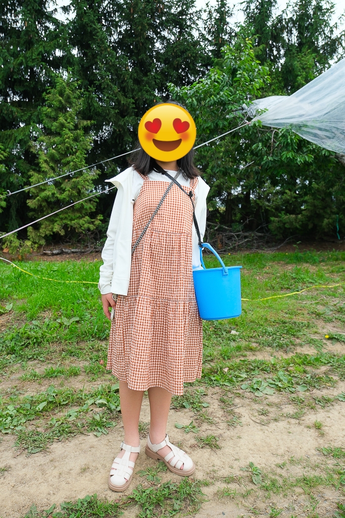 日本北海道｜辻さくらんぼ農園．美瑛西北之丘採櫻桃，1000圓櫻桃吃到飽 @飛天璇的口袋