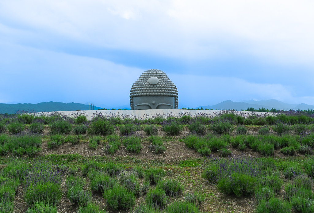 【北海道自由行】5~15天北海道自駕行程，札幌、富良野、稚內、知床五湖完整規劃 @飛天璇的口袋