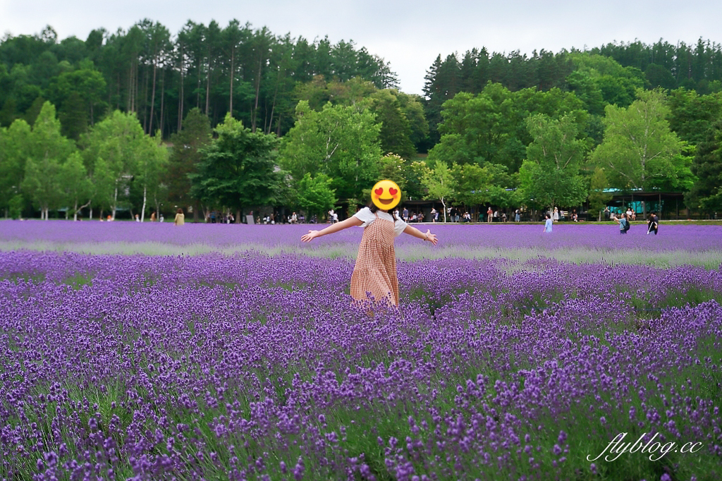 【北海道自由行】5~15天北海道自駕行程，札幌、富良野、稚內、知床五湖完整規劃 @飛天璇的口袋