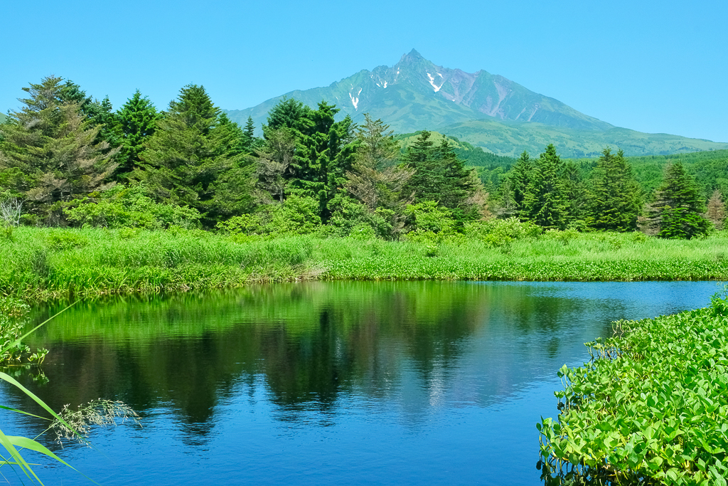 【北海道自由行】5~15天北海道自駕行程，札幌、富良野、稚內、知床五湖完整規劃 @飛天璇的口袋