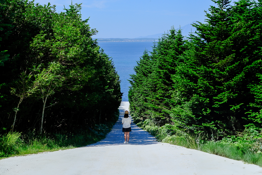 【北海道自由行】5~15天北海道自駕行程，札幌、富良野、稚內、知床五湖完整規劃 @飛天璇的口袋