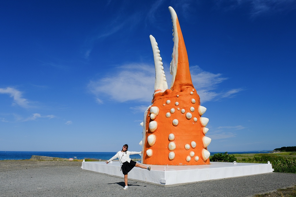 【北海道自由行】5~15天北海道自駕行程，札幌、富良野、稚內、知床五湖完整規劃 @飛天璇的口袋