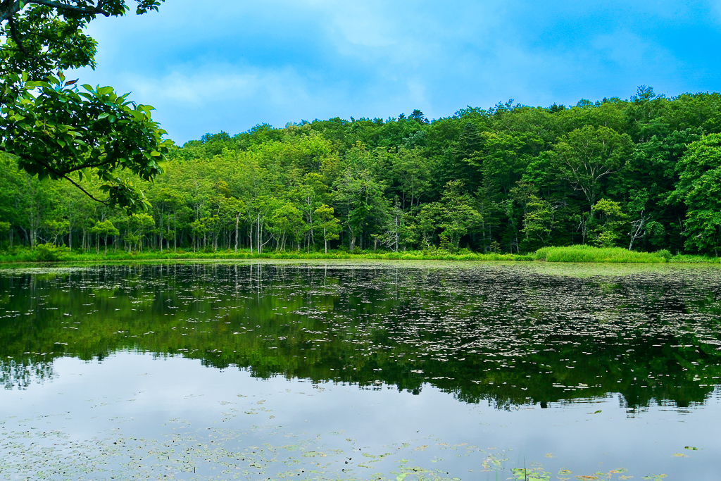 【北海道自由行】5~15天北海道自駕行程，札幌、富良野、稚內、知床五湖完整規劃 @飛天璇的口袋