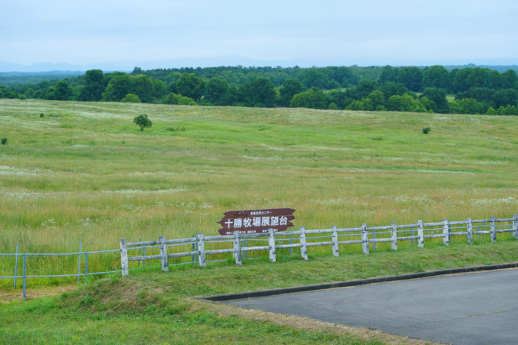 【北海道自由行】5~15天北海道自駕行程，札幌、富良野、稚內、知床五湖完整規劃 @飛天璇的口袋