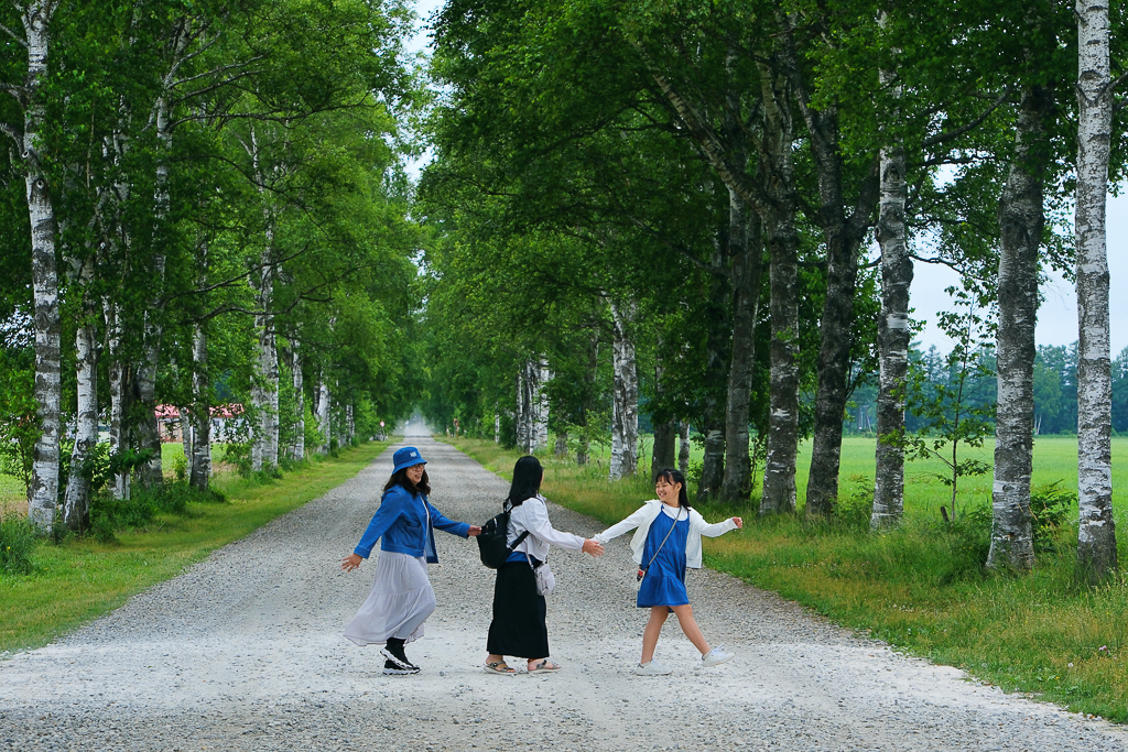 【北海道自由行】5~15天北海道自駕行程，札幌、富良野、稚內、知床五湖完整規劃 @飛天璇的口袋