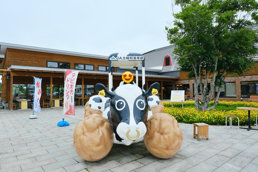 【北海道自由行】5~15天北海道自駕行程，札幌、富良野、稚內、知床五湖完整規劃 @飛天璇的口袋