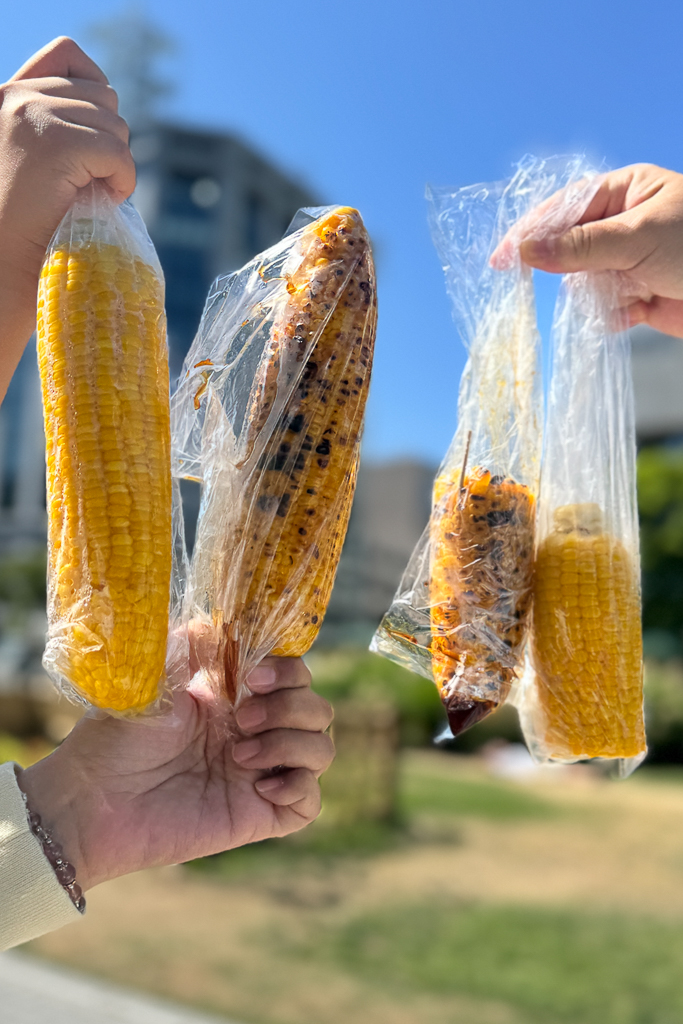 【北海道自由行】5~15天北海道自駕行程，札幌、富良野、稚內、知床五湖完整規劃 @飛天璇的口袋