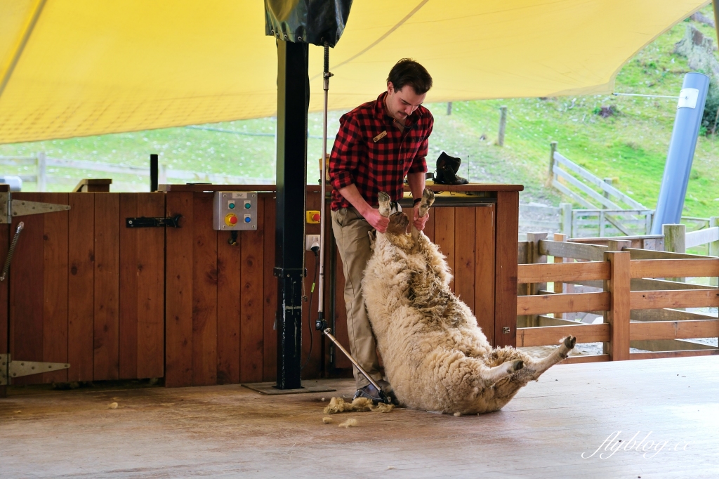 【紐西蘭自由行】南島北島15天自駕行程.機票簽證、旅遊路線、飯店住宿、美食景點 @飛天璇的口袋 【紐西蘭自由行】南島北島15天自駕行程.機票簽證、旅遊路線、飯店住宿、美食景點 @飛天璇的口袋