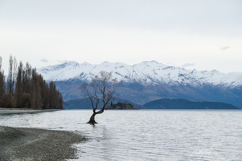 紐西蘭瓦納卡｜Lakeside Apartments Wanaka．瓦納卡湖畔飯店，有露天游泳池和三溫暖水池 @飛天璇的口袋
