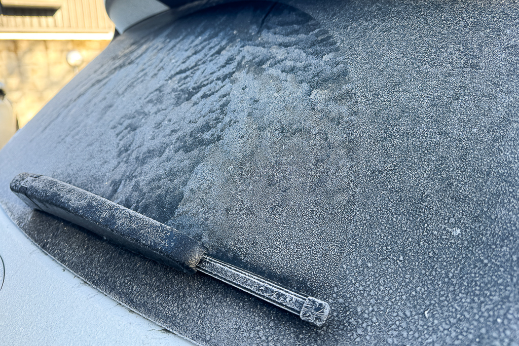 紐西蘭基督城｜梅菲爾飯店 The Mayfair Christchurch．位於基督城市中心，還有自家平面停車場 @飛天璇的口袋