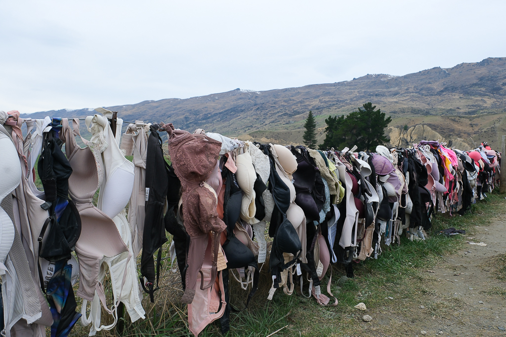 【紐西蘭自由行】南島北島15天自駕行程.機票簽證、旅遊路線、飯店住宿、美食景點 @飛天璇的口袋 【紐西蘭自由行】南島北島15天自駕行程.機票簽證、旅遊路線、飯店住宿、美食景點 @飛天璇的口袋