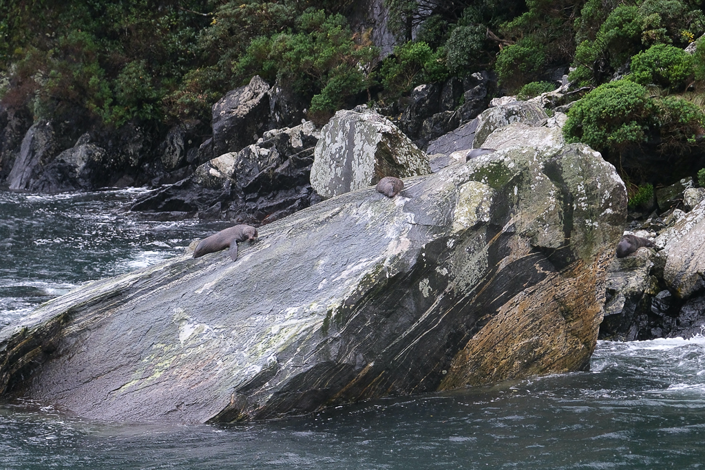 【紐西蘭自由行】南島北島15天自駕行程.機票簽證、旅遊路線、飯店住宿、美食景點 @飛天璇的口袋 【紐西蘭自由行】南島北島15天自駕行程.機票簽證、旅遊路線、飯店住宿、美食景點 @飛天璇的口袋